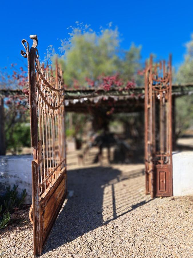Olive Grove Cottage Koringberg Exterior photo