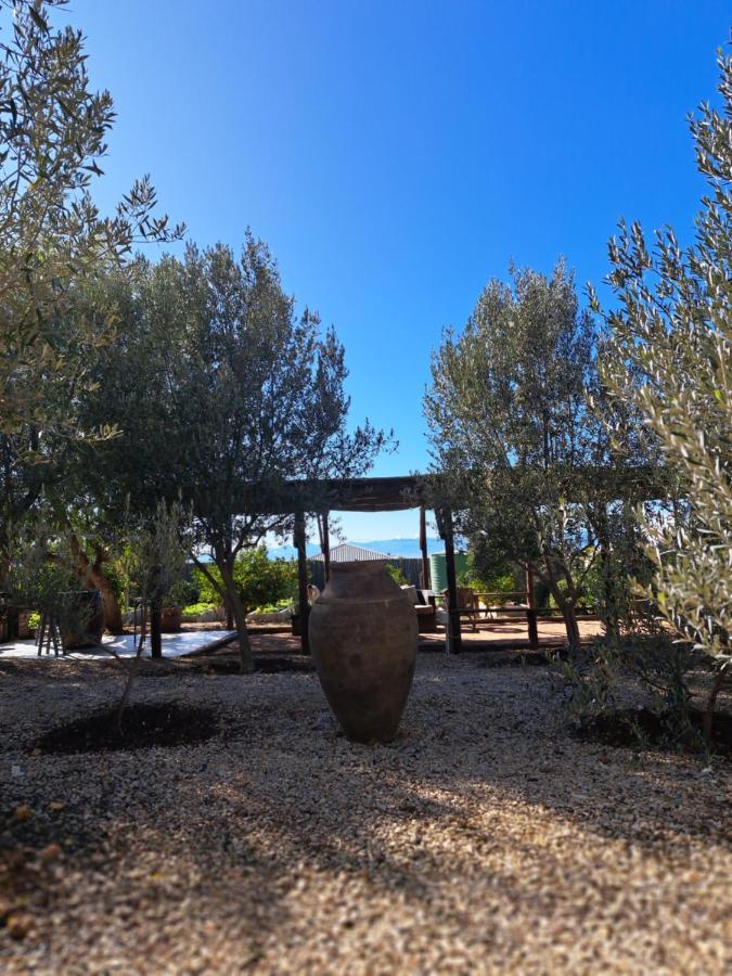Olive Grove Cottage Koringberg Exterior photo